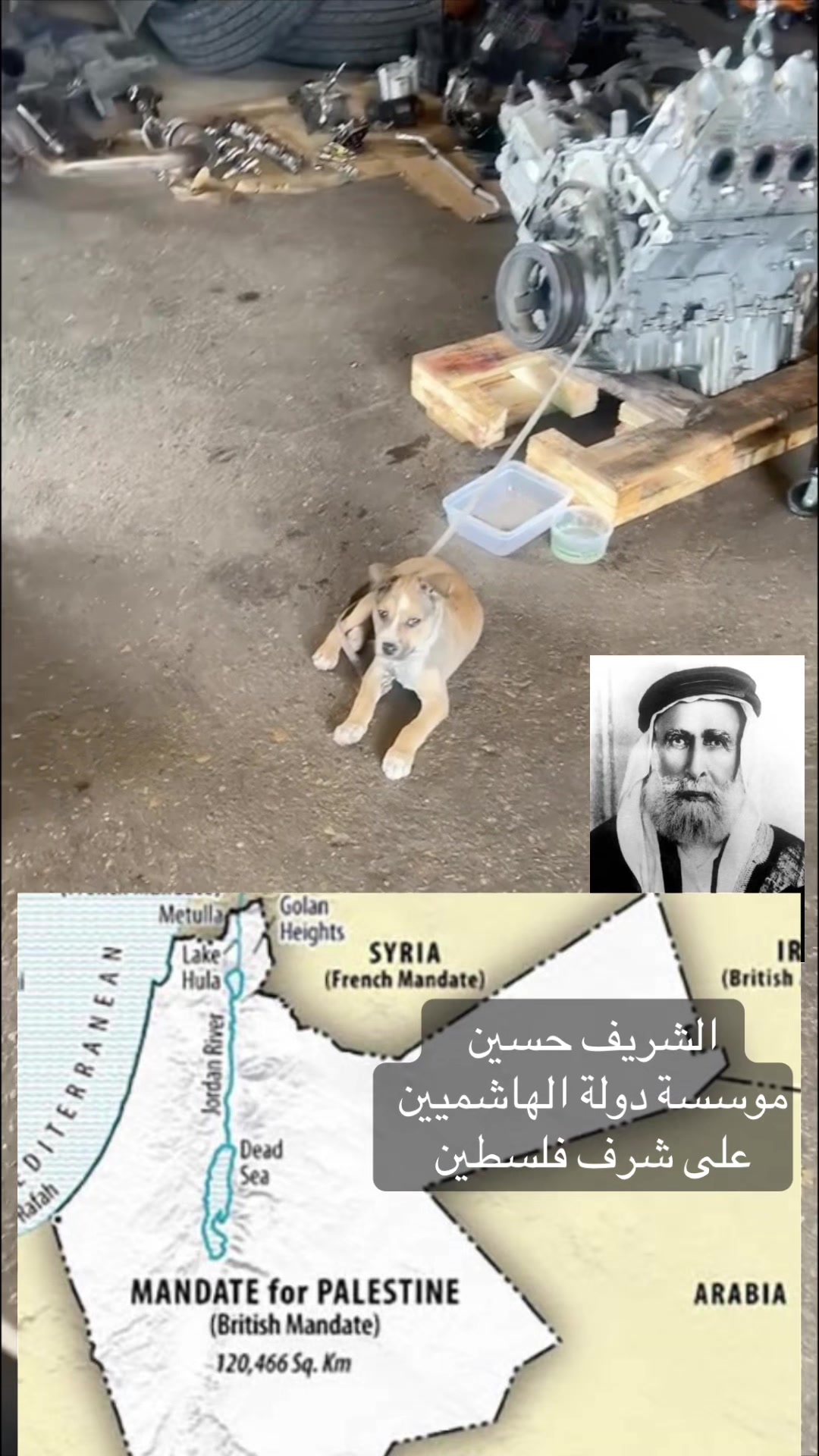@نايك الملك عبدالله والهاشميين