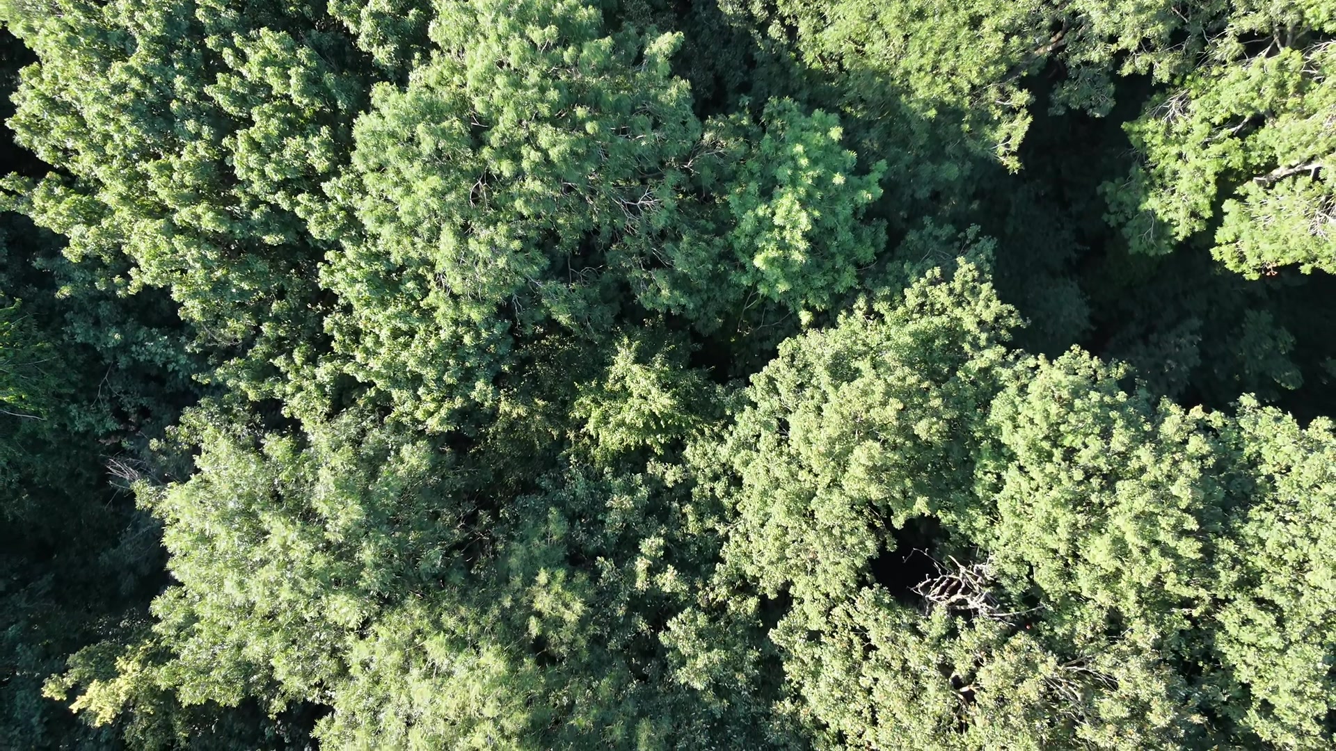 @OGdronephotography