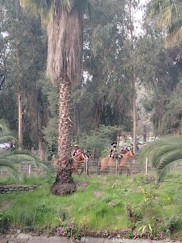@Patty Apablaza