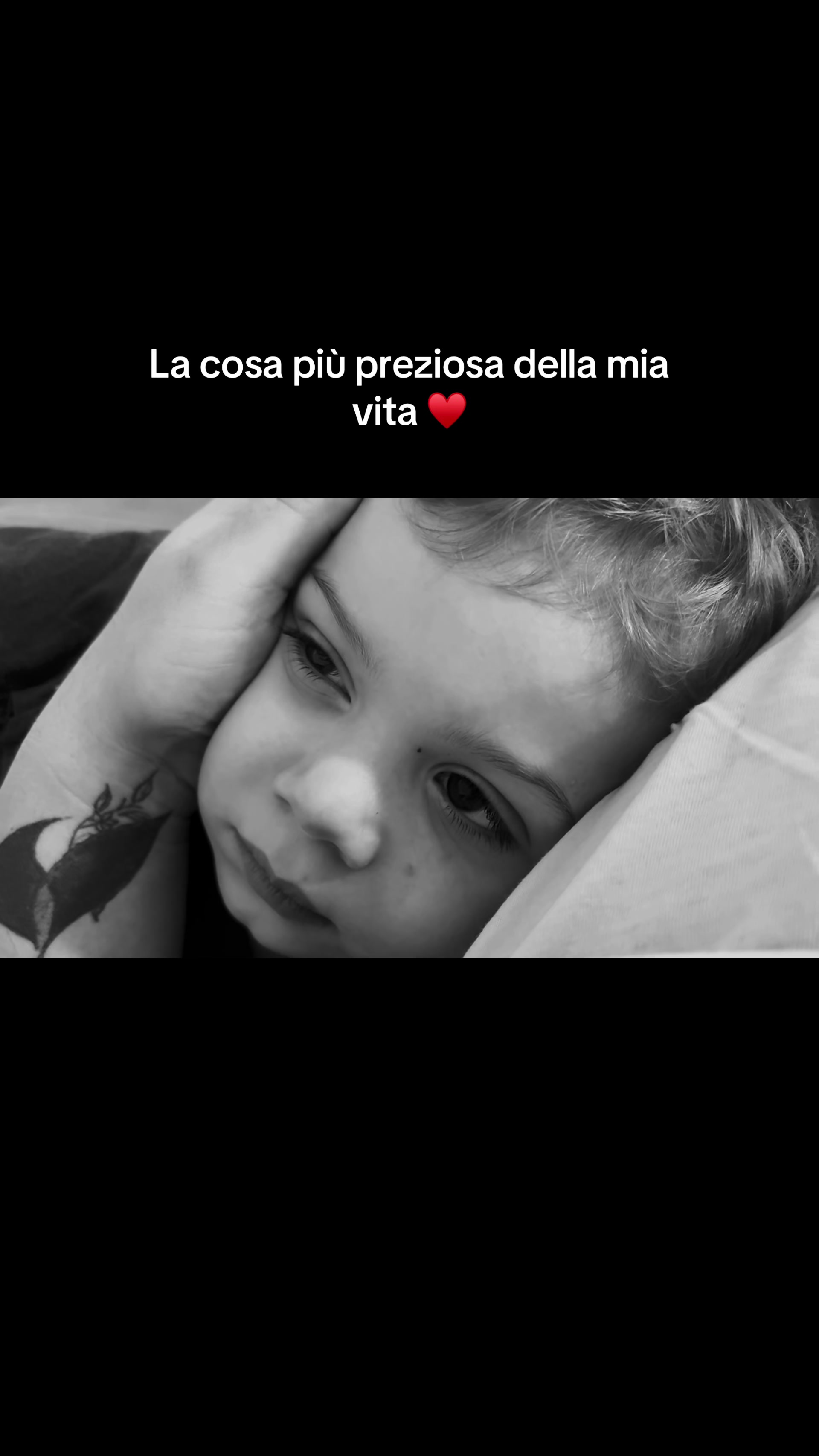 @🌸Ariana Augenti🌸
