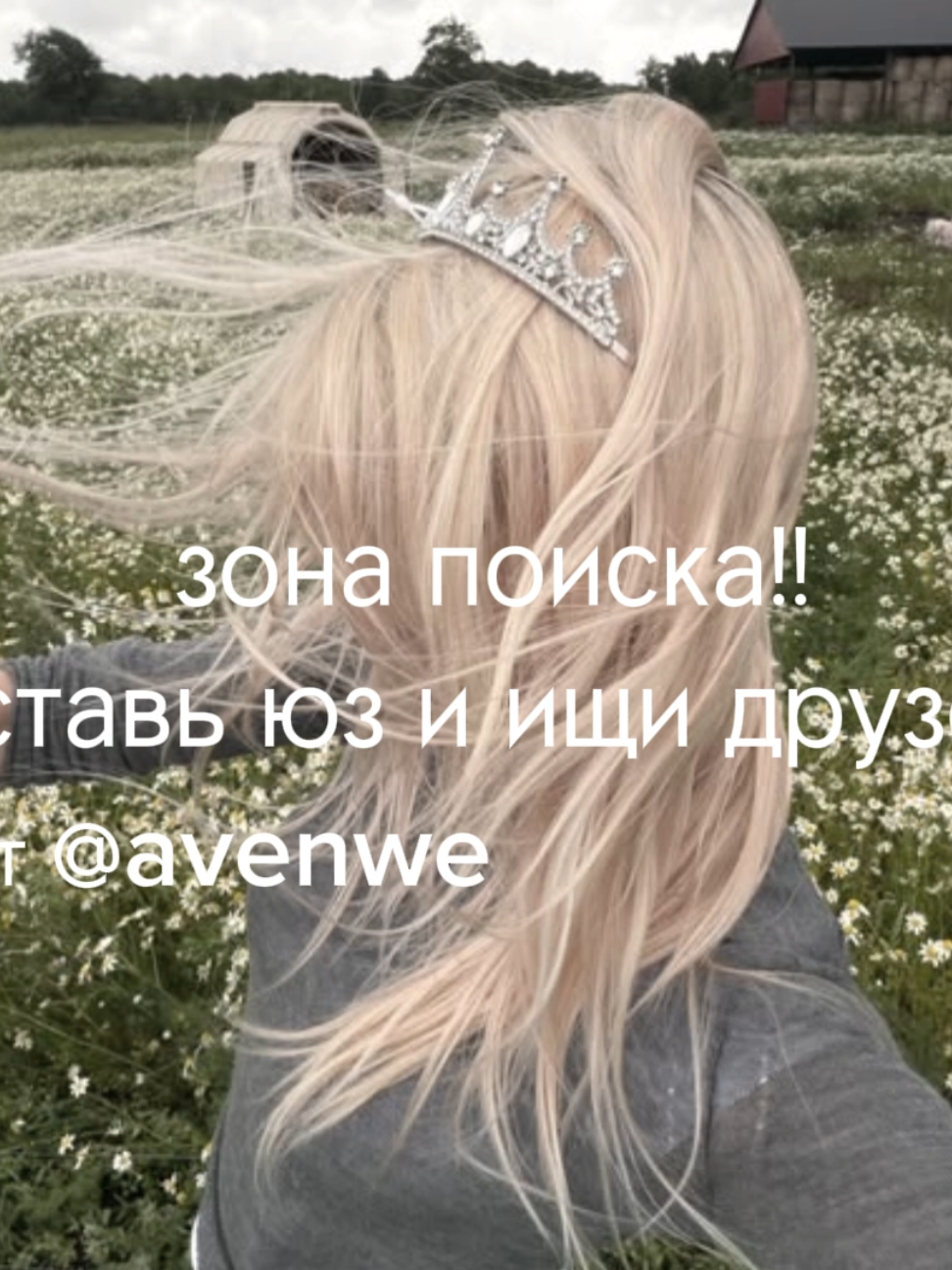 @avenew чат
