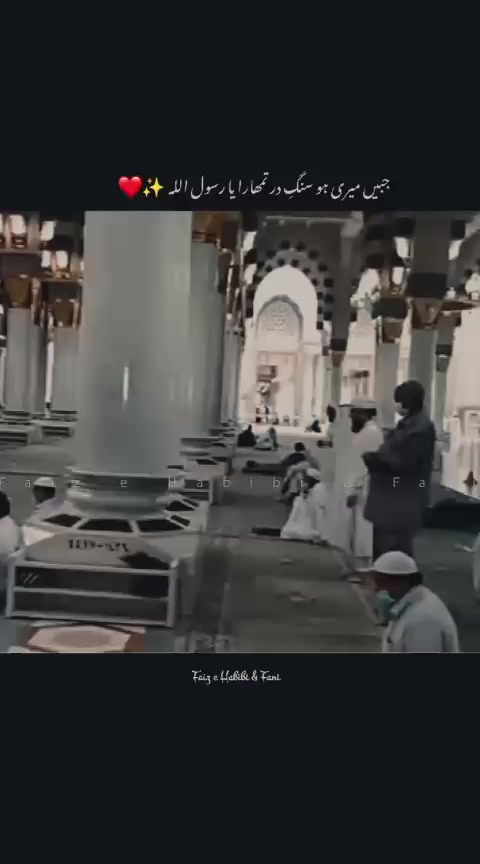 @user8181638434207
