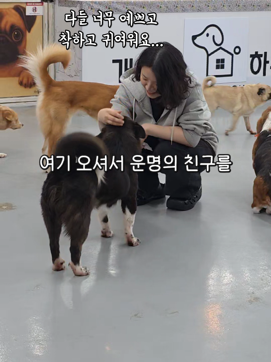 @레시피 읽어주는 여자