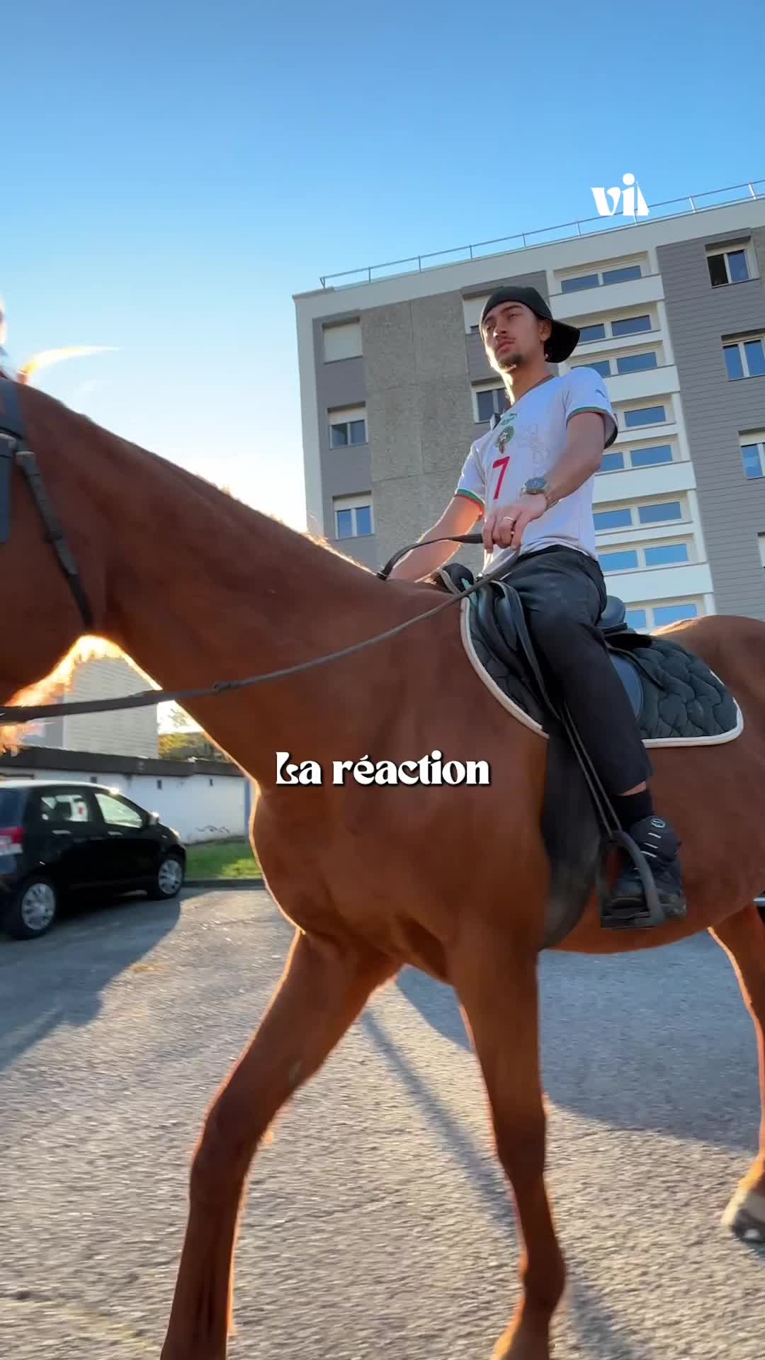 @vibesofficiel_