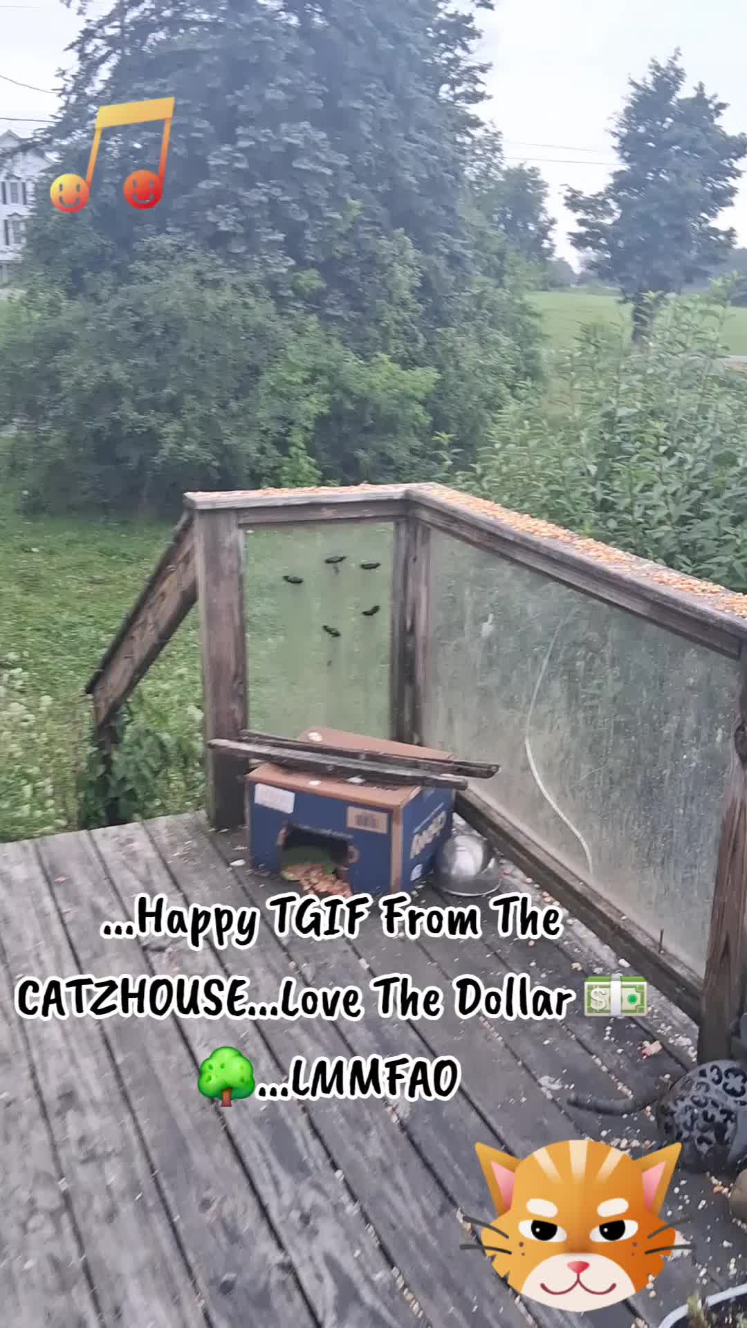 @Booh Hovey crazycatlady3