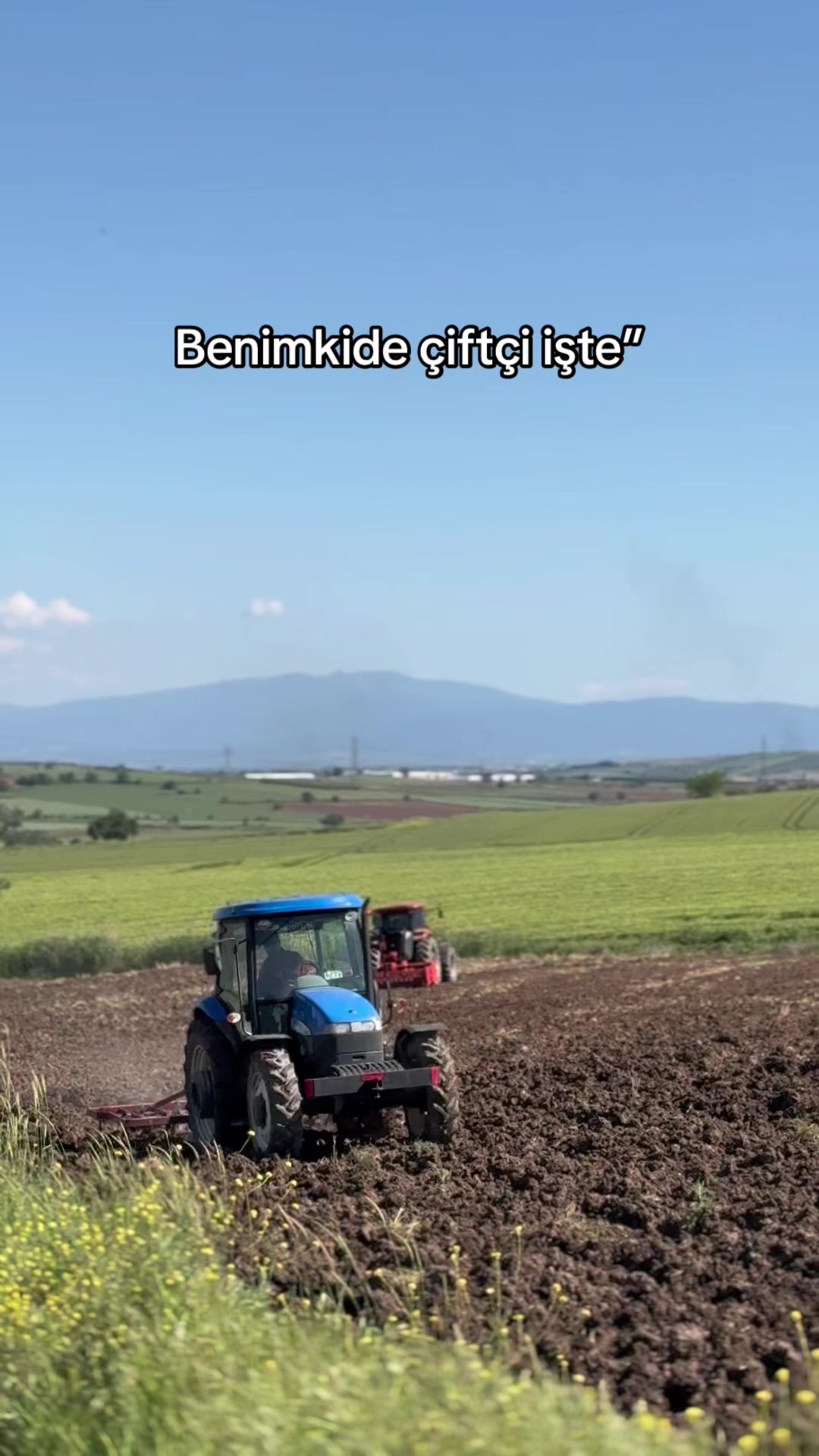 @gozde