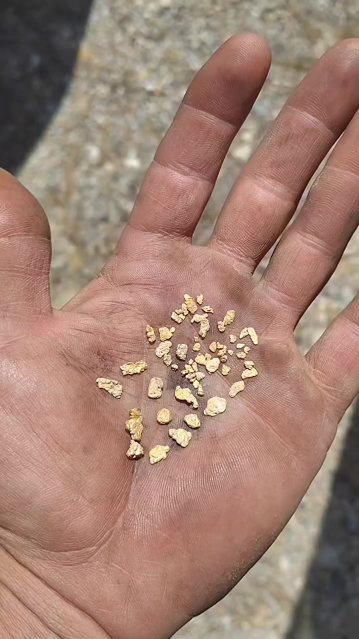 @Gold 22