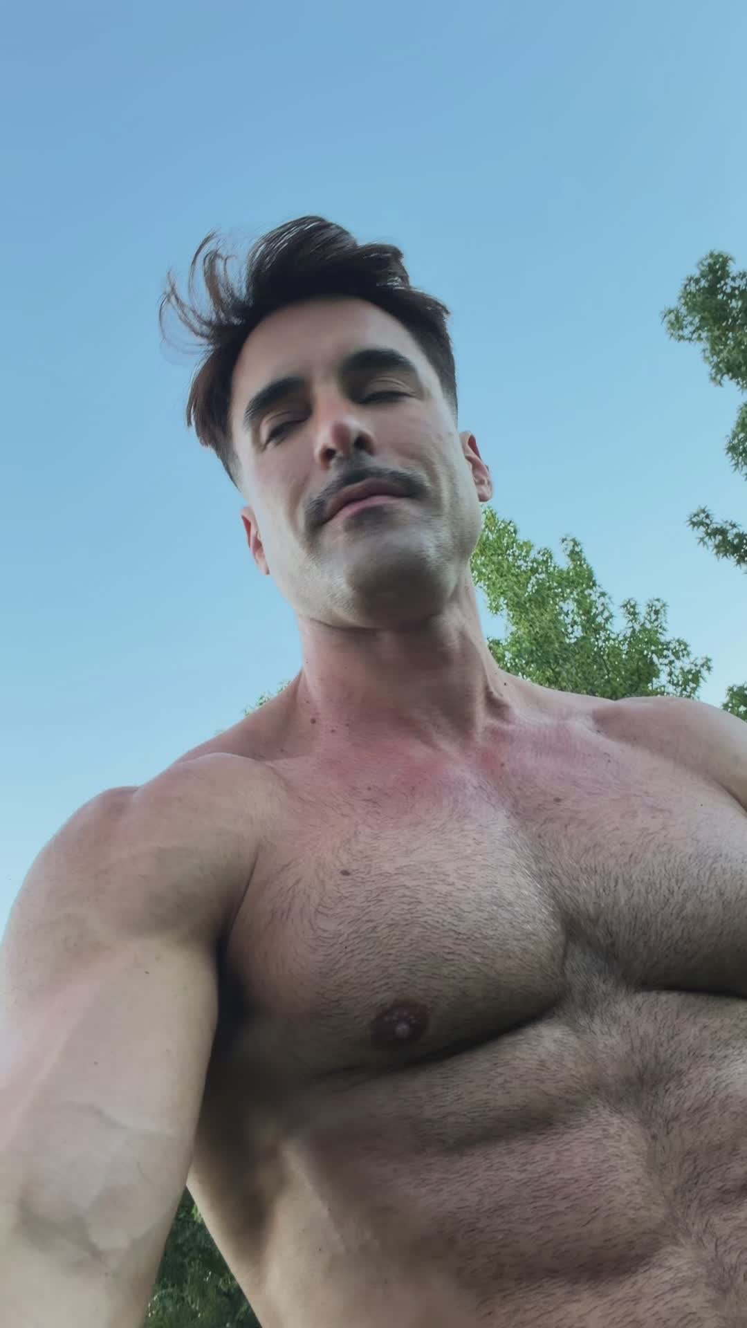 @Thiago_Lazzarato