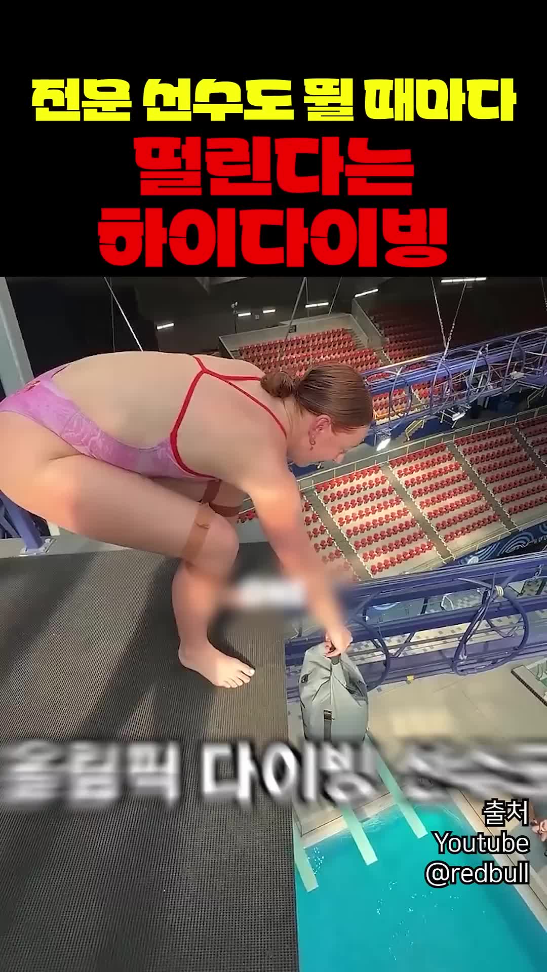 @짱아까미
