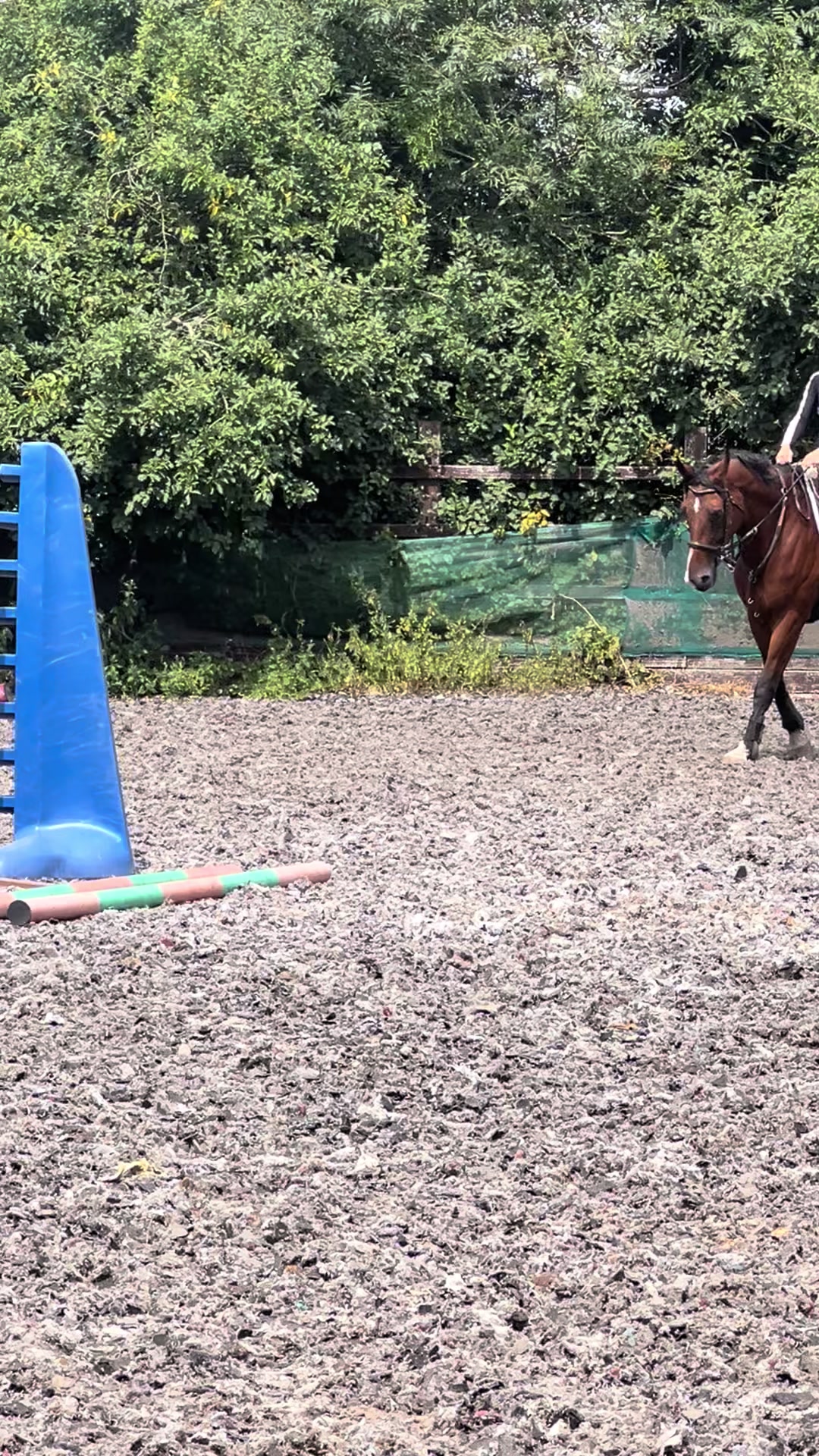 @Ronnie moore's showjumping