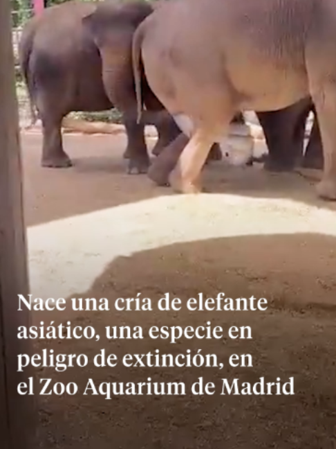 @La Vanguardia 🗞