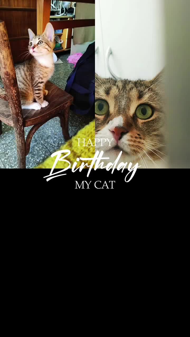 @Ezerarcú🎤📢🎭😺