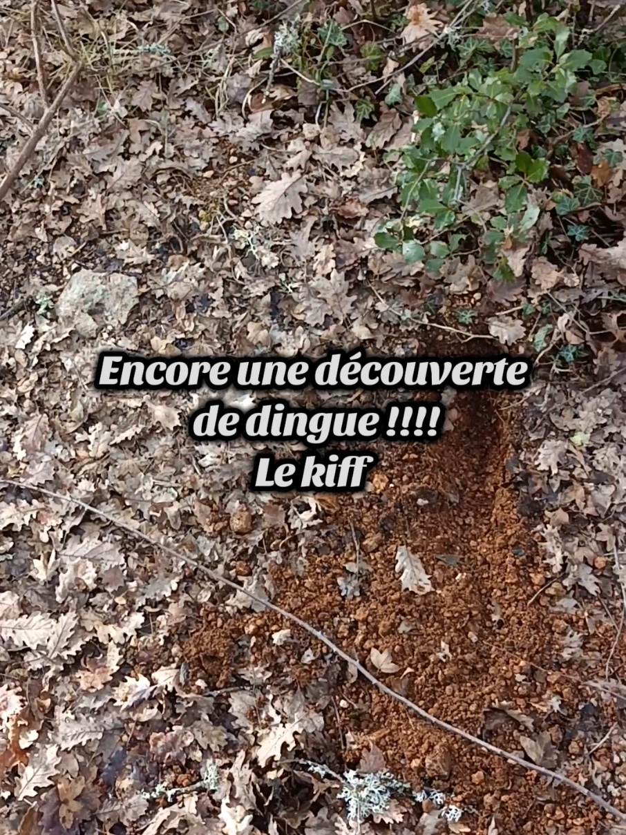 @DétecteurDeTrésor💥