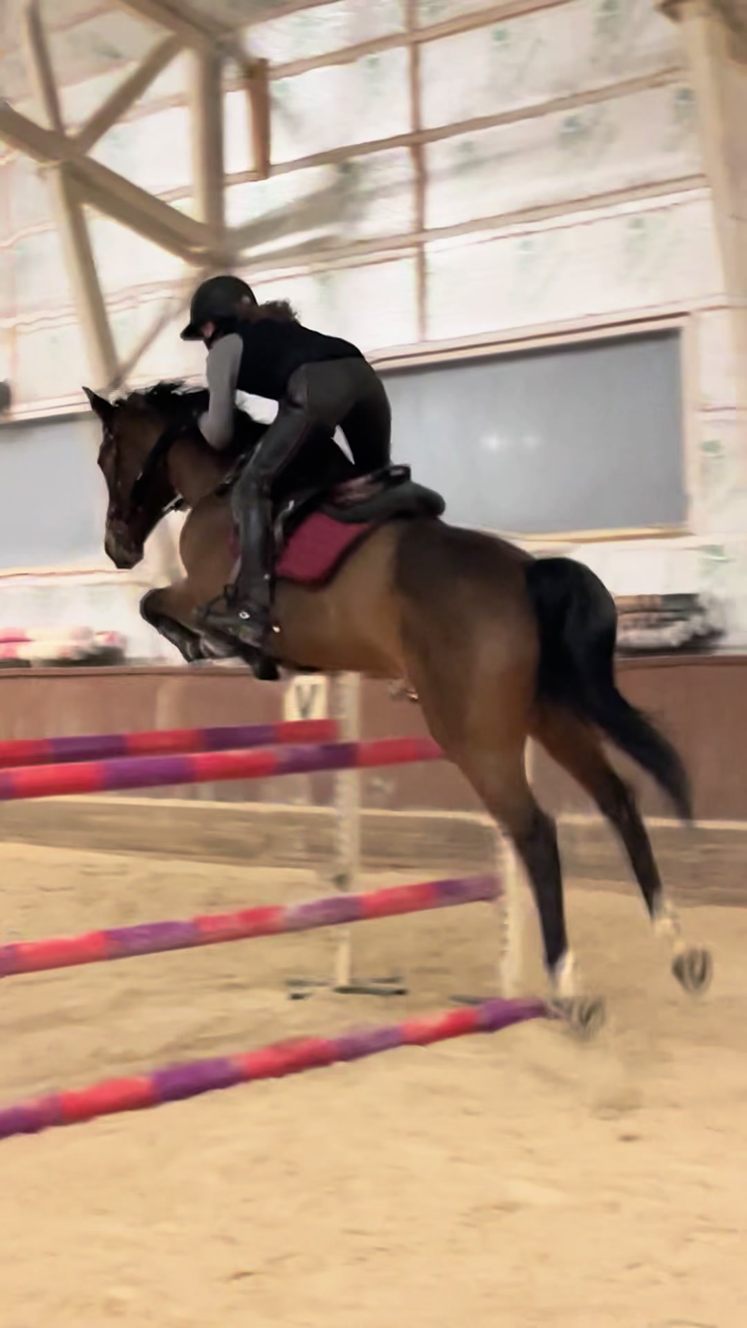 @🦄🐴