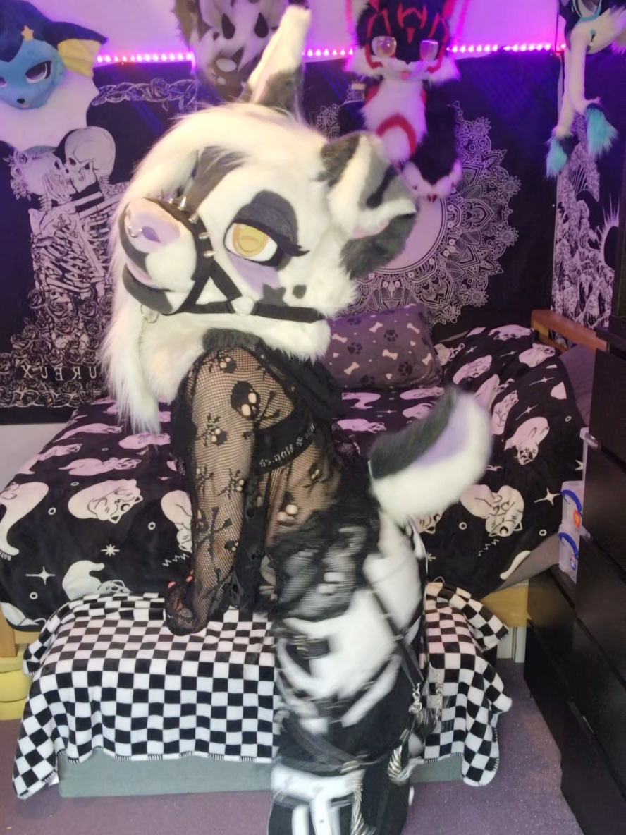@Bailey (lilpixiekitten)