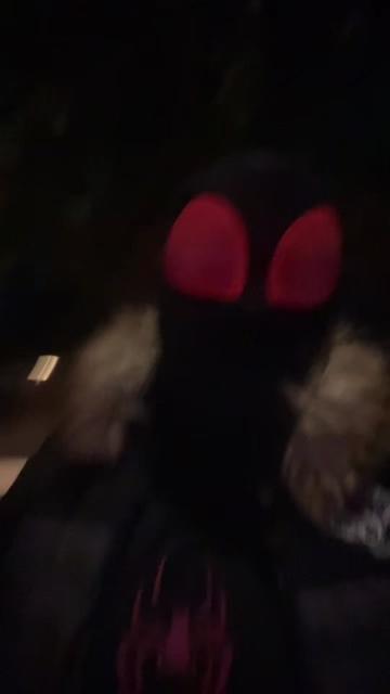@Wolf-Spider