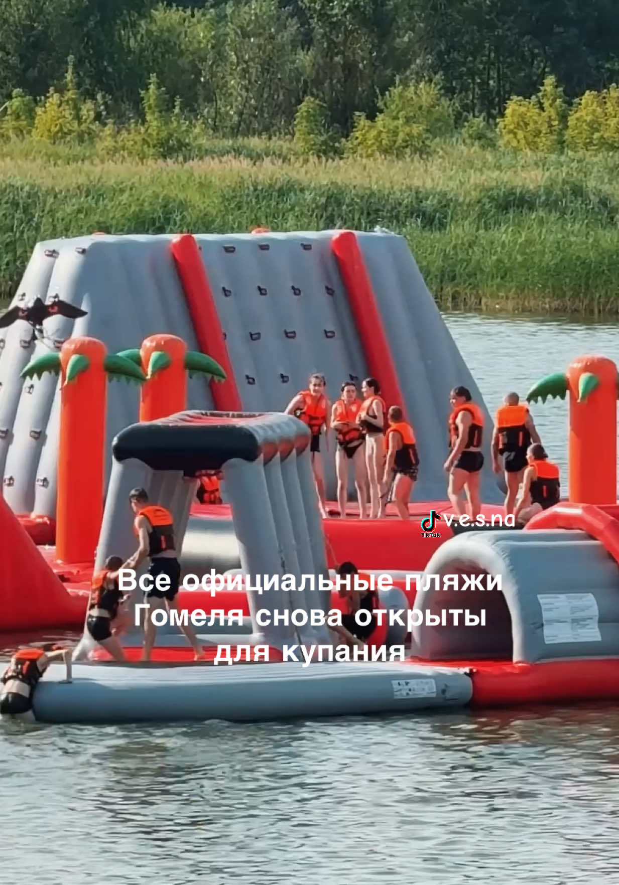 @vesna