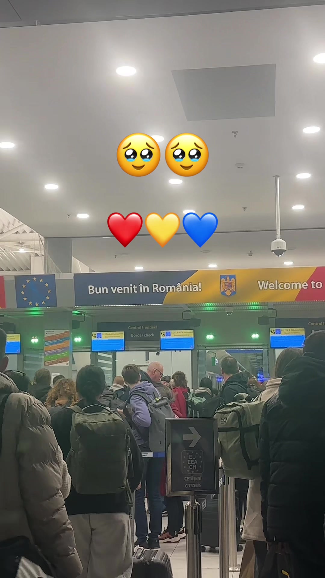 @Iulia Lorena