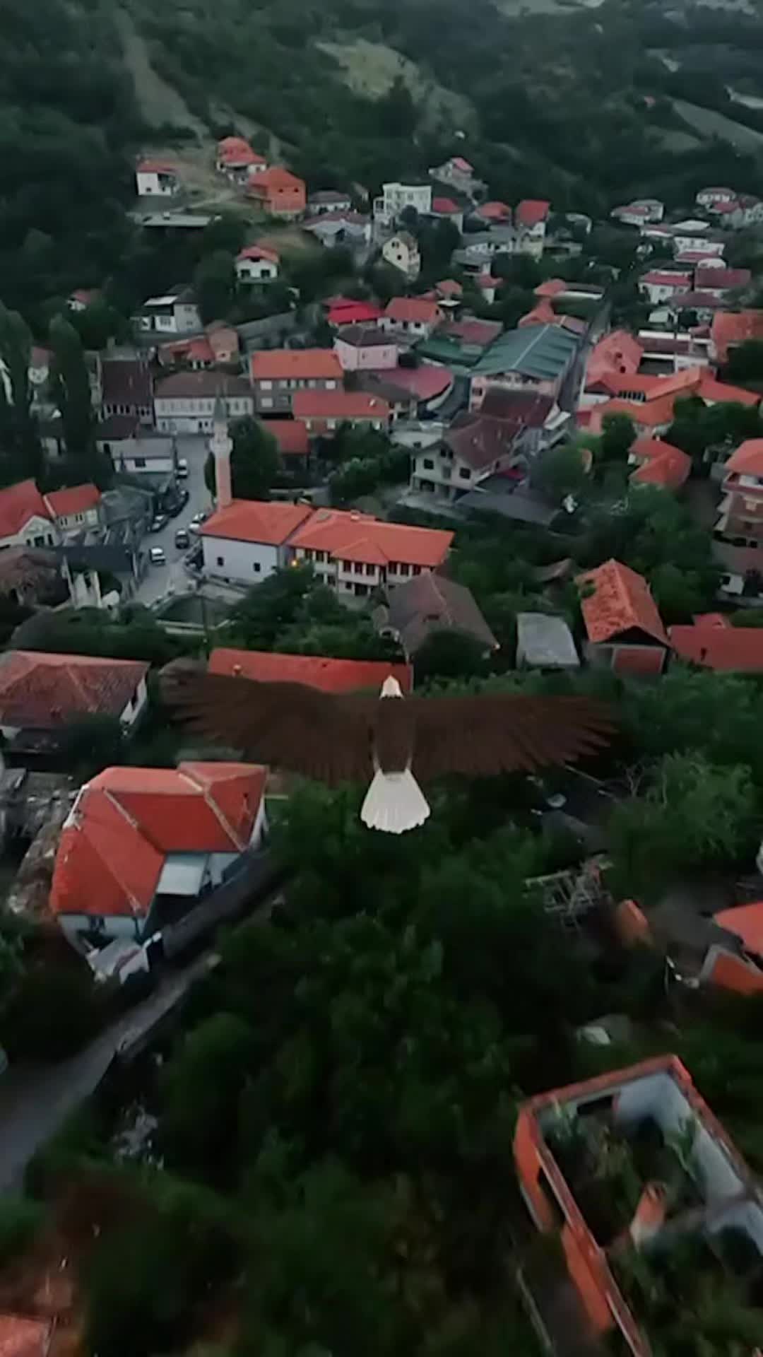 @jetonramadani138