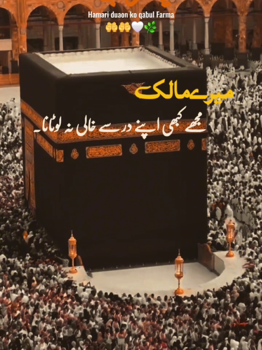 @Allah  hu akbar