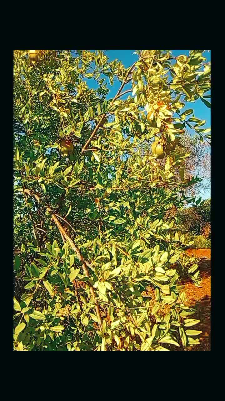 @❤️&zwj;🔥Любимая Пахи  🇱🇹 ✌️