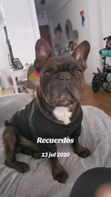 @Guardián de mis pensamientos