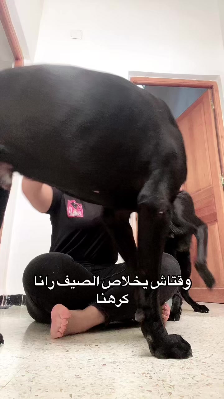 @الخلوية 🚩🥱🇩🇿