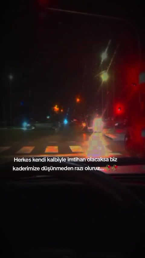 @Fatma Uzun