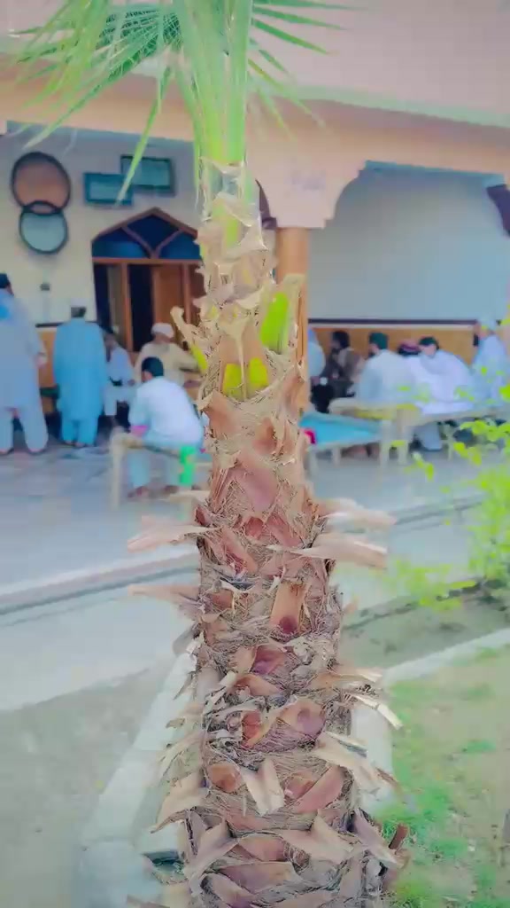 @شاہ زمان جانی🫦🗣👫