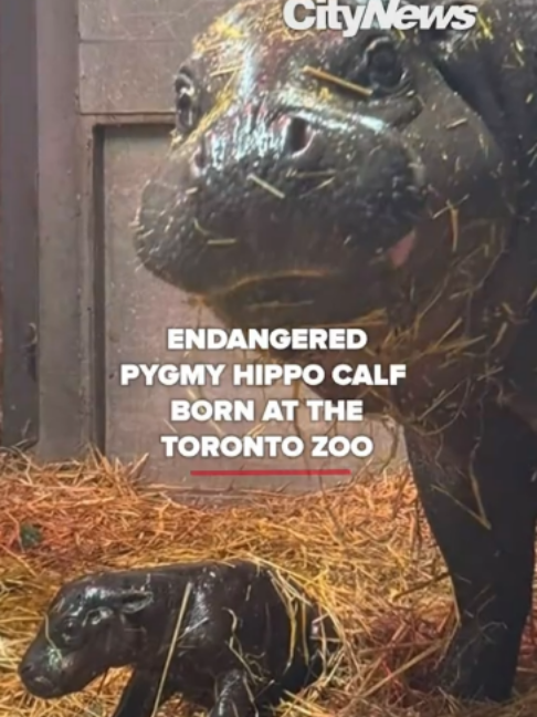 @CityNews