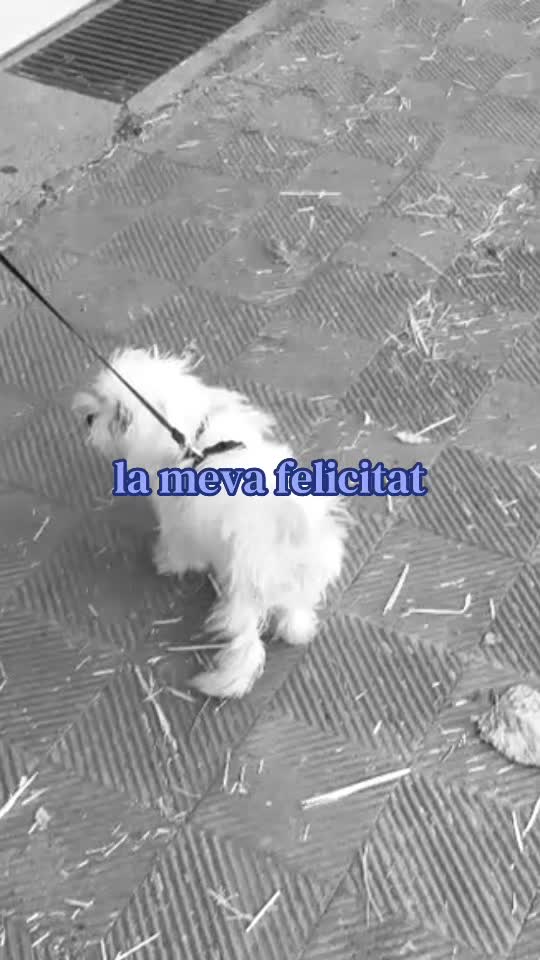 @&Agrave;neuu 🫀