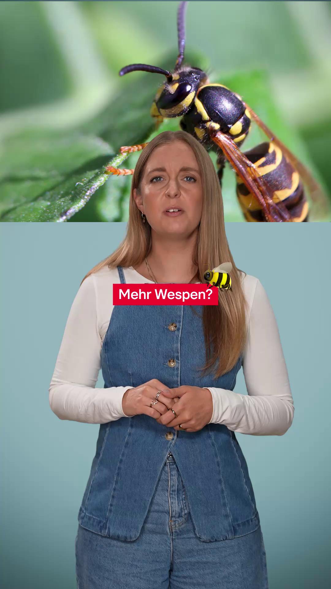 @RTL Aktuell