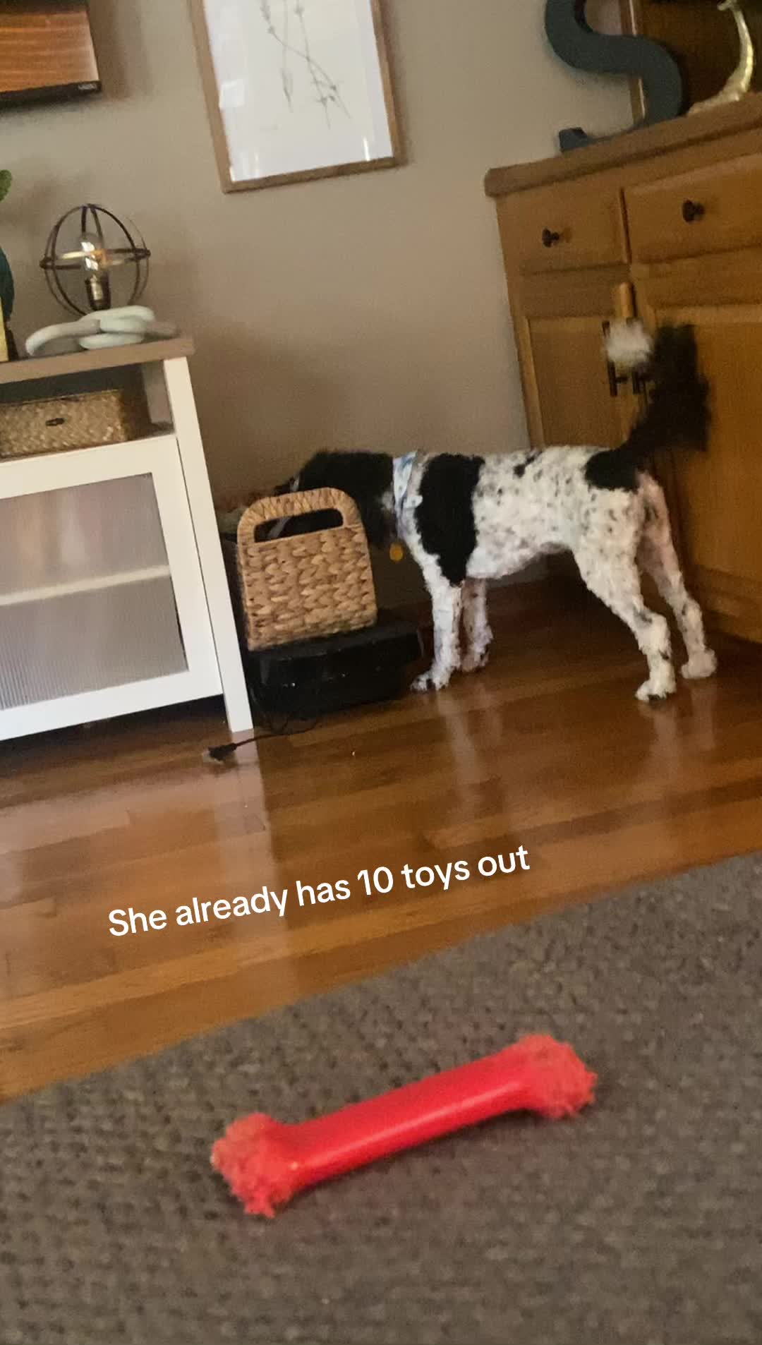 @JessK | Dog Mom