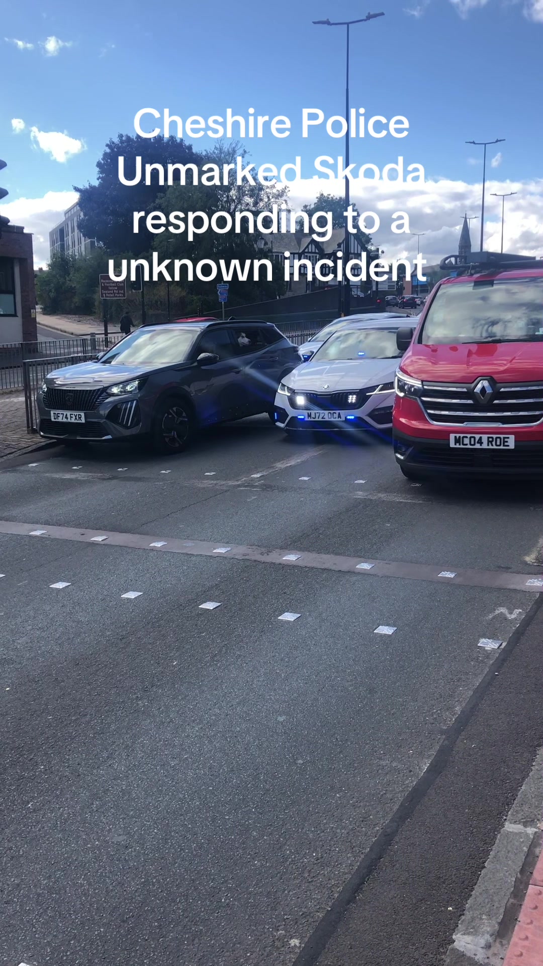 @cheshire.spotting