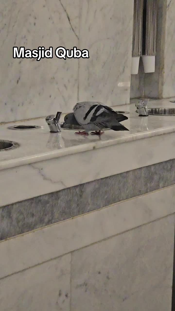 @𝔐𝔲𝔰𝔞𝔞𝔣𝔦𝔯-𝔠𝔩𝔬𝔱𝔥𝔦𝔫𝔤