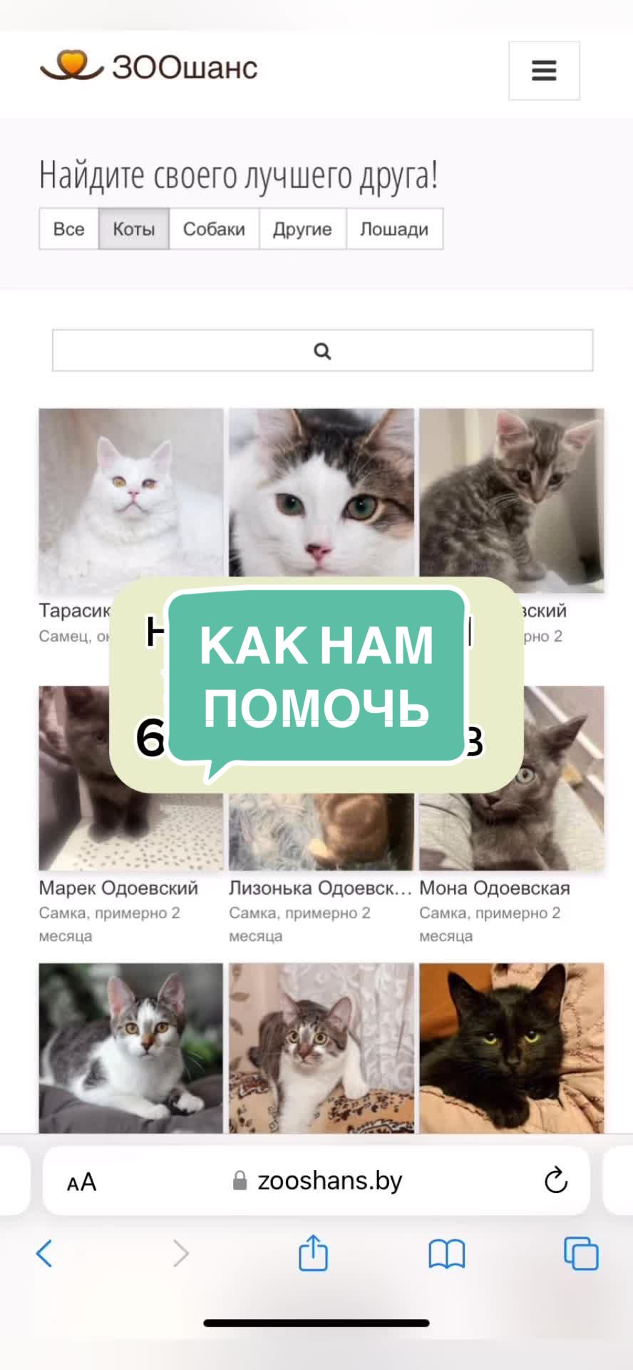 @ЗООшанс