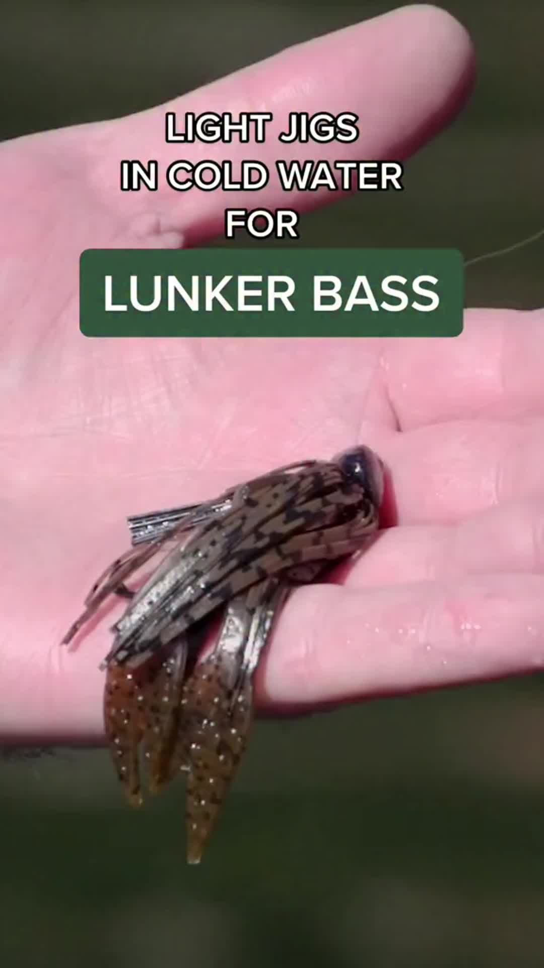 @Lunkerville