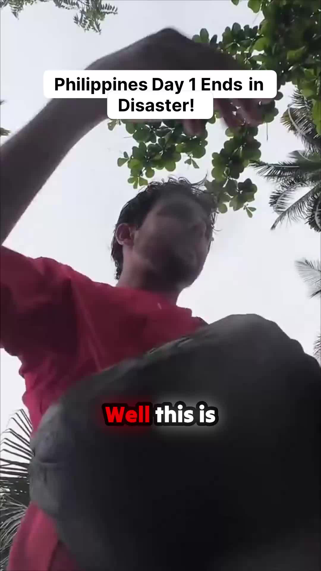 @LostWithWarrenClips