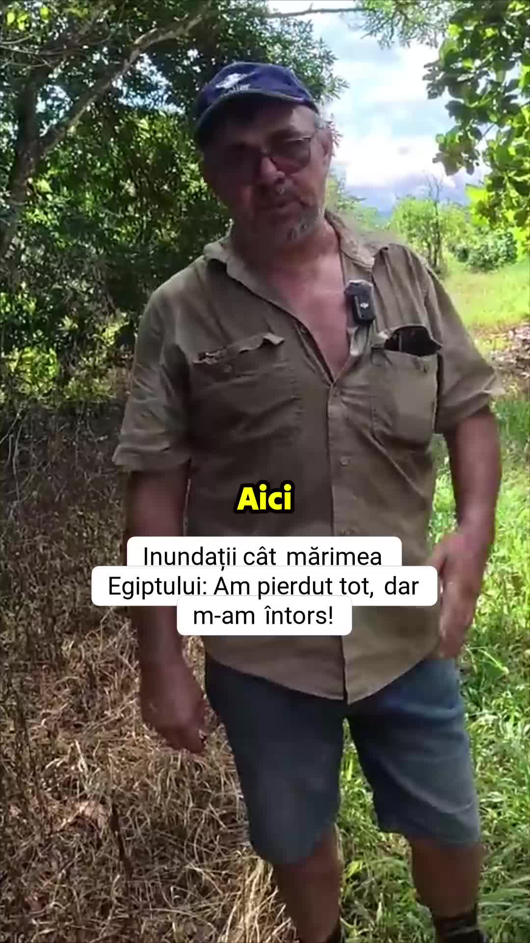 @sorinaa