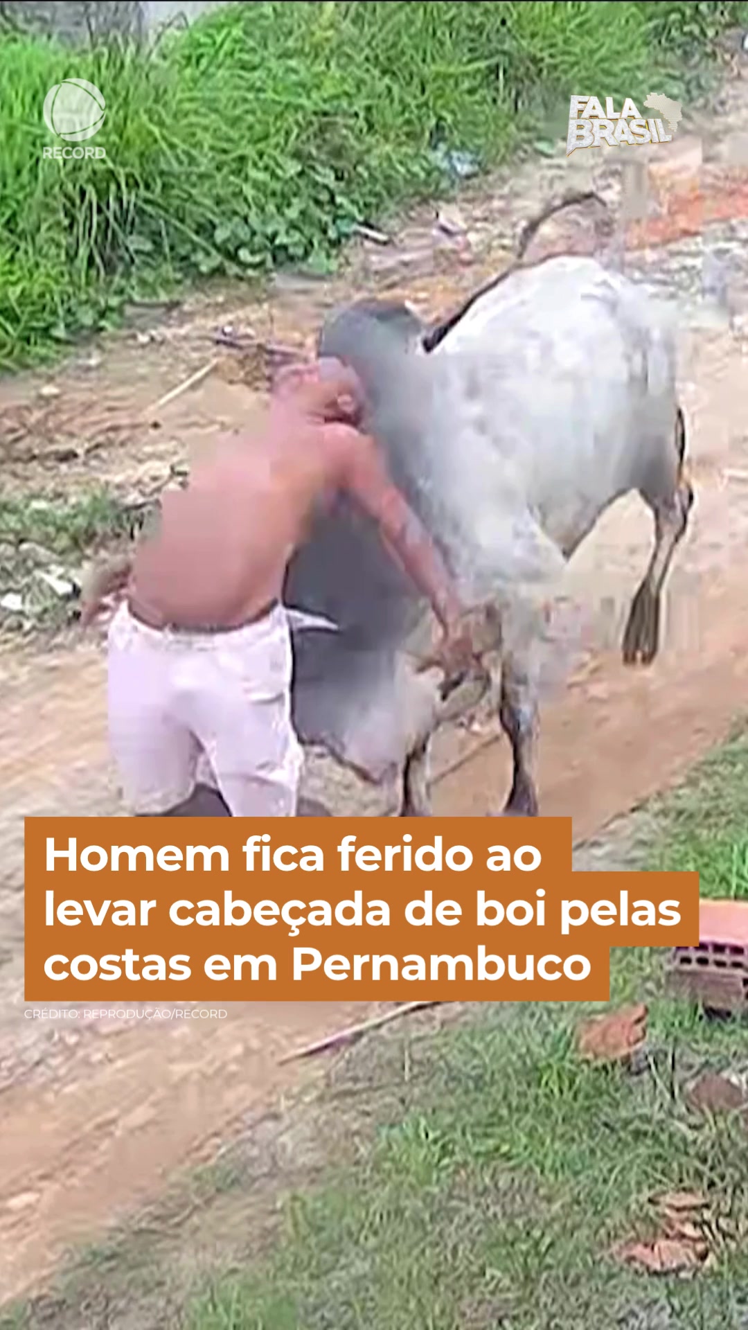 @Fala Brasil