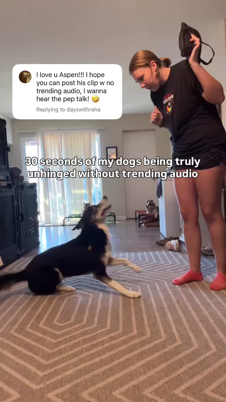 @Marissa | Kota & Aspen