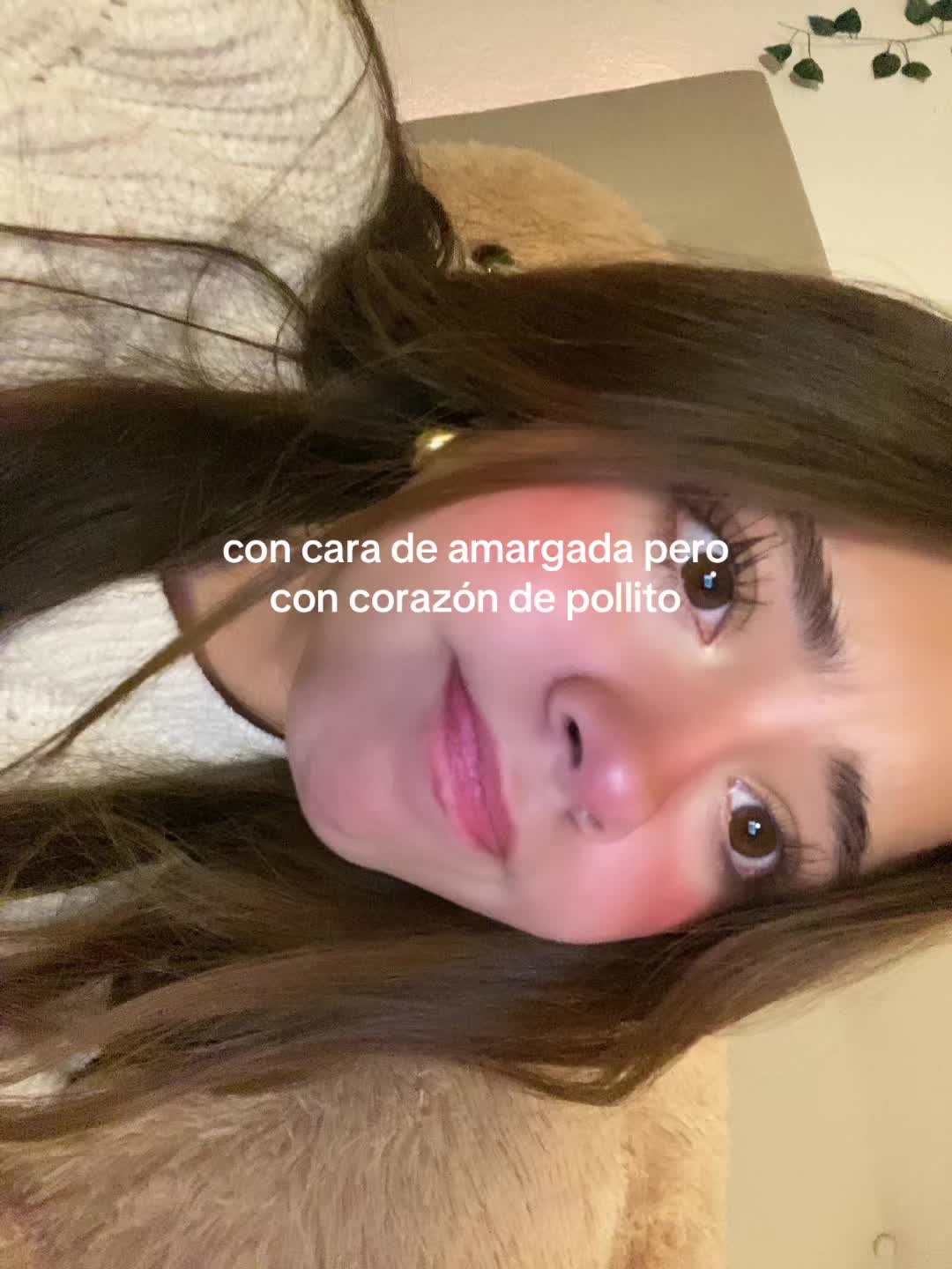 @majo