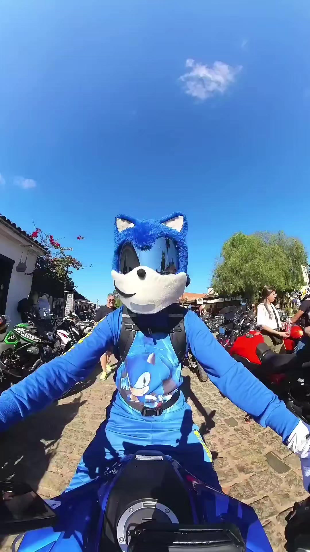 @sonic.uai