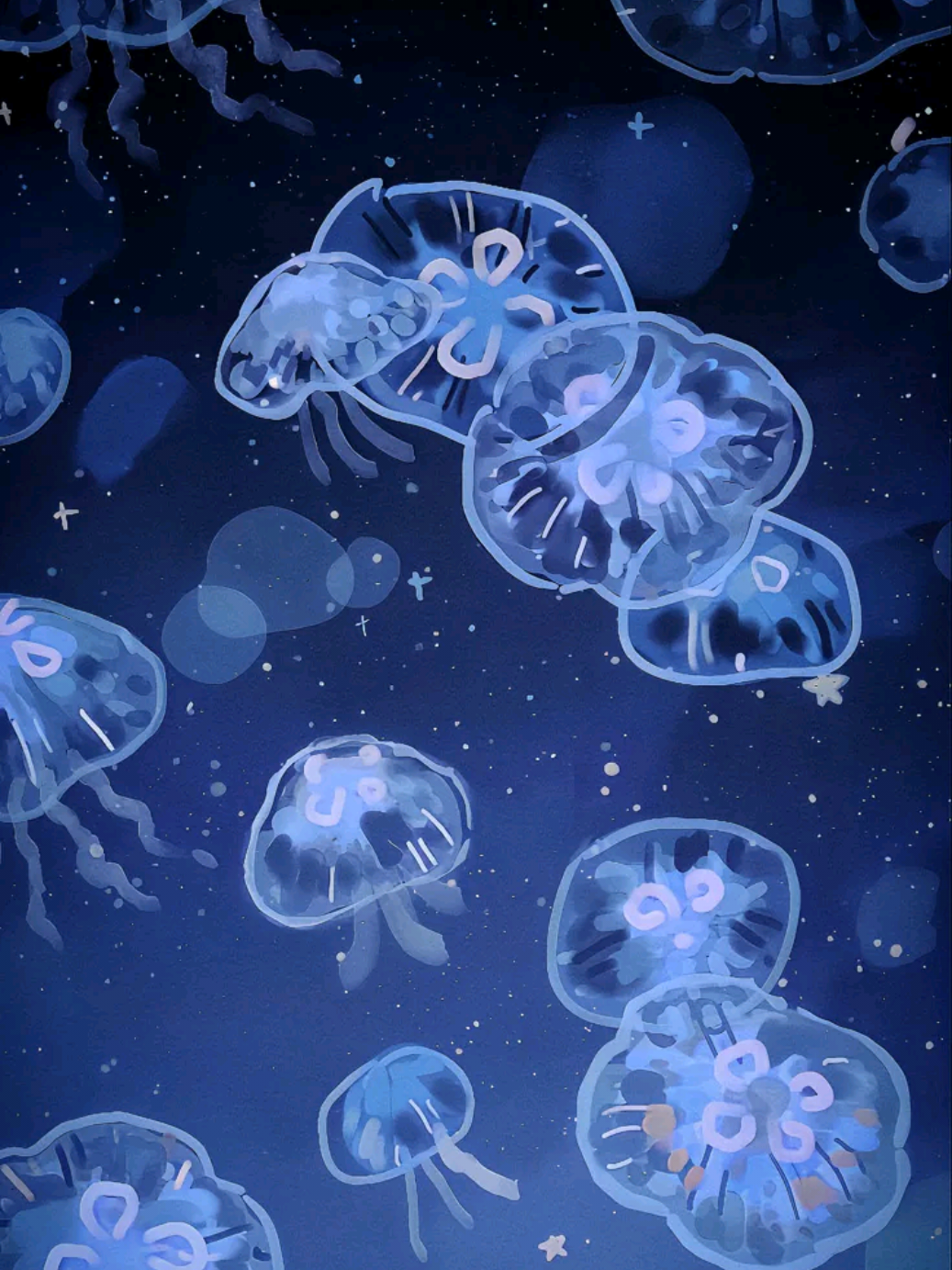 @⋆｡˚꒰ঌ 𝑹𝒂𝒄𝒉𝒆𝒍 ໒꒱˚｡⋆