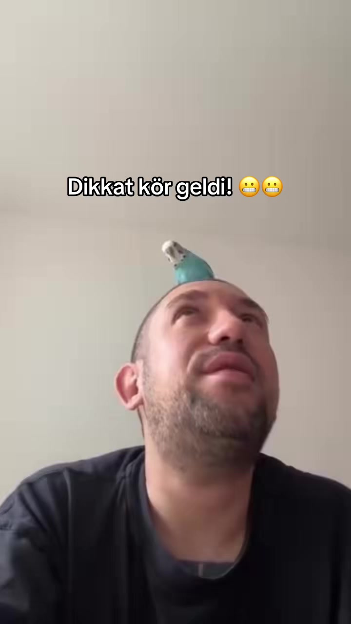 @apoowwk