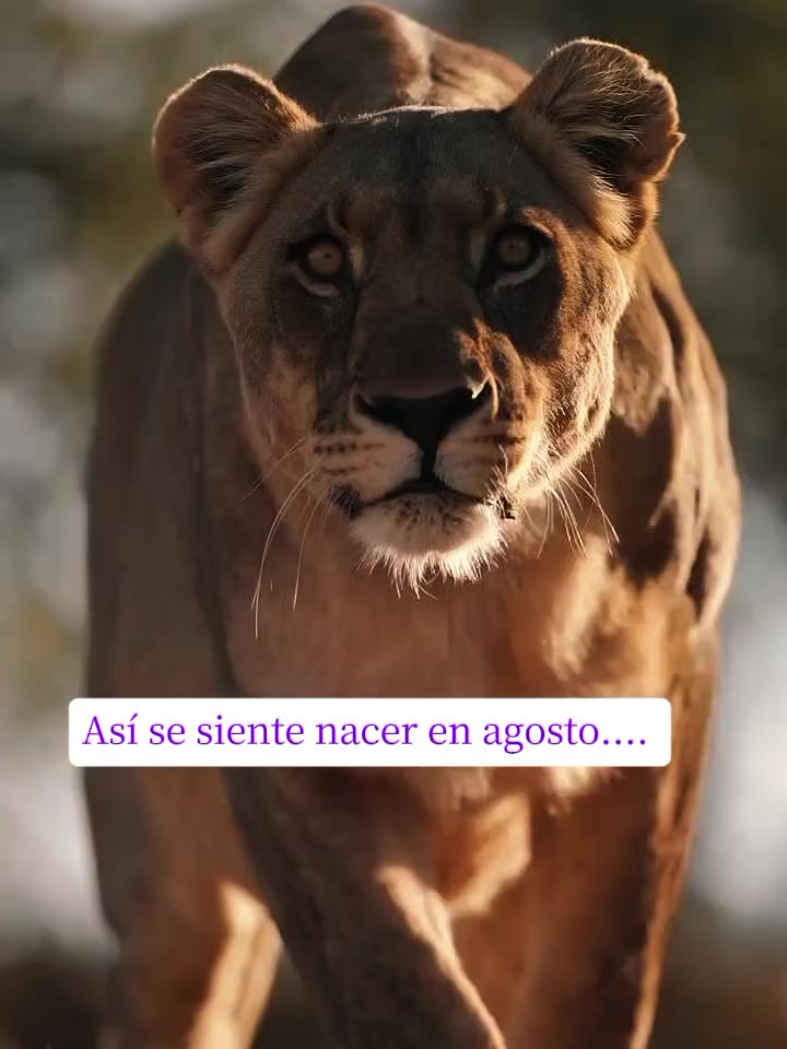 @Brigith Zarzo