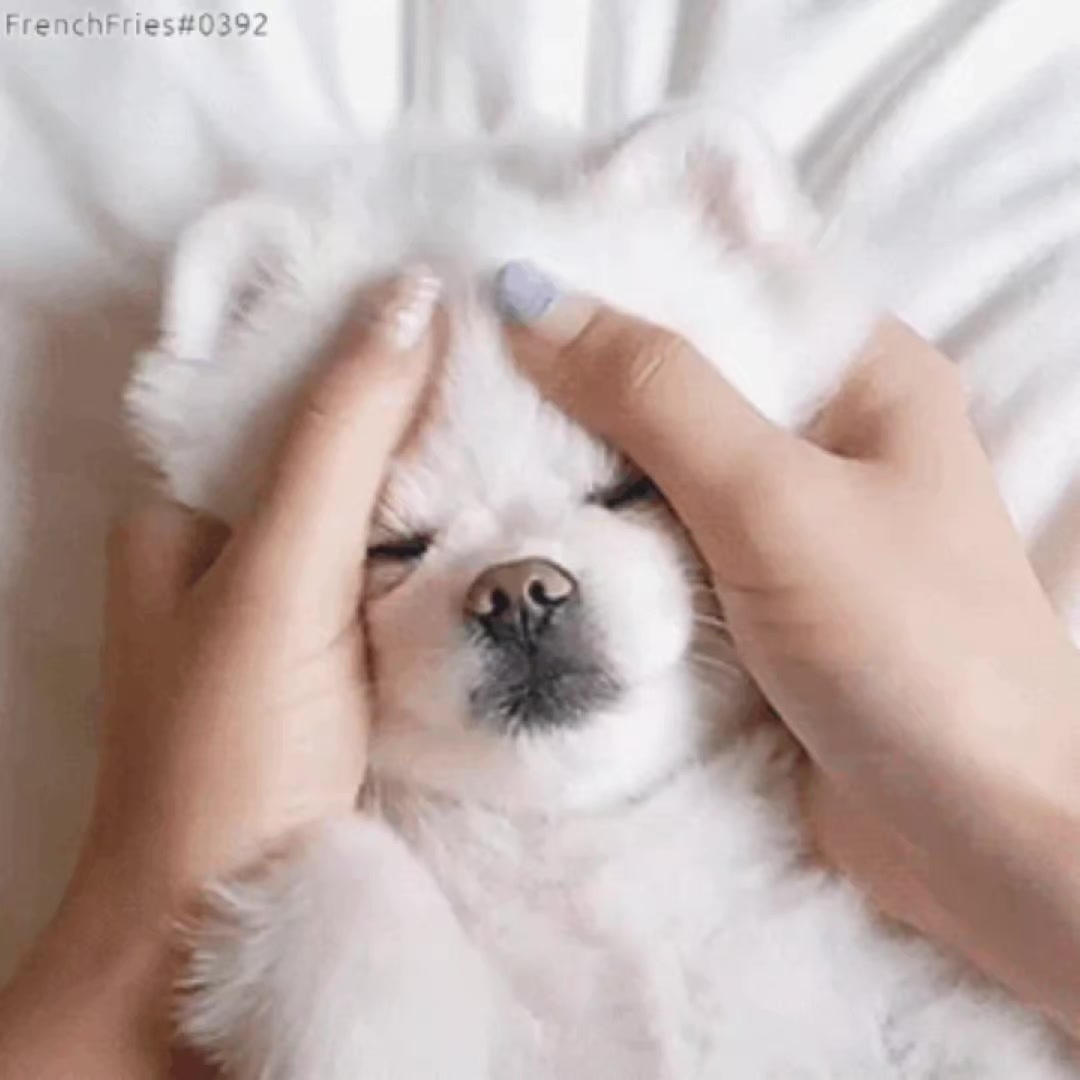 @Фоны для щитпостов