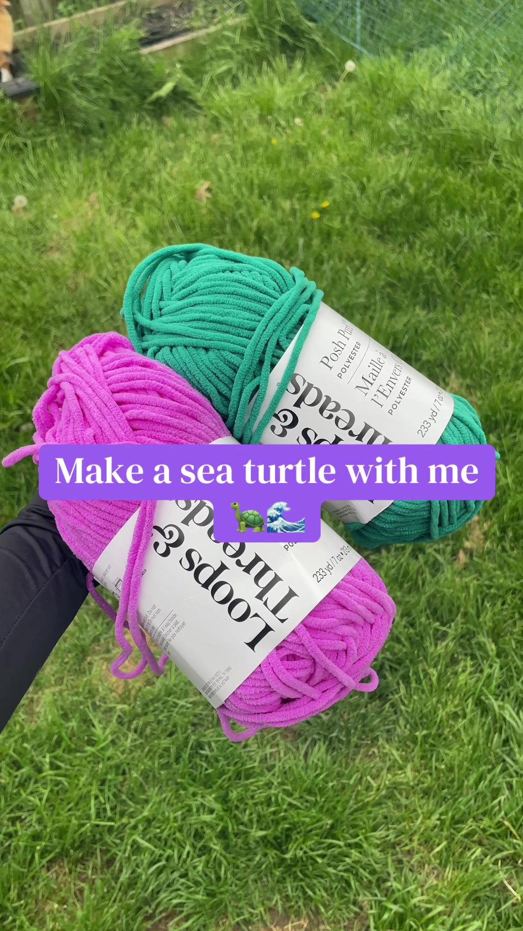 @Zero Gravity Crochet✨