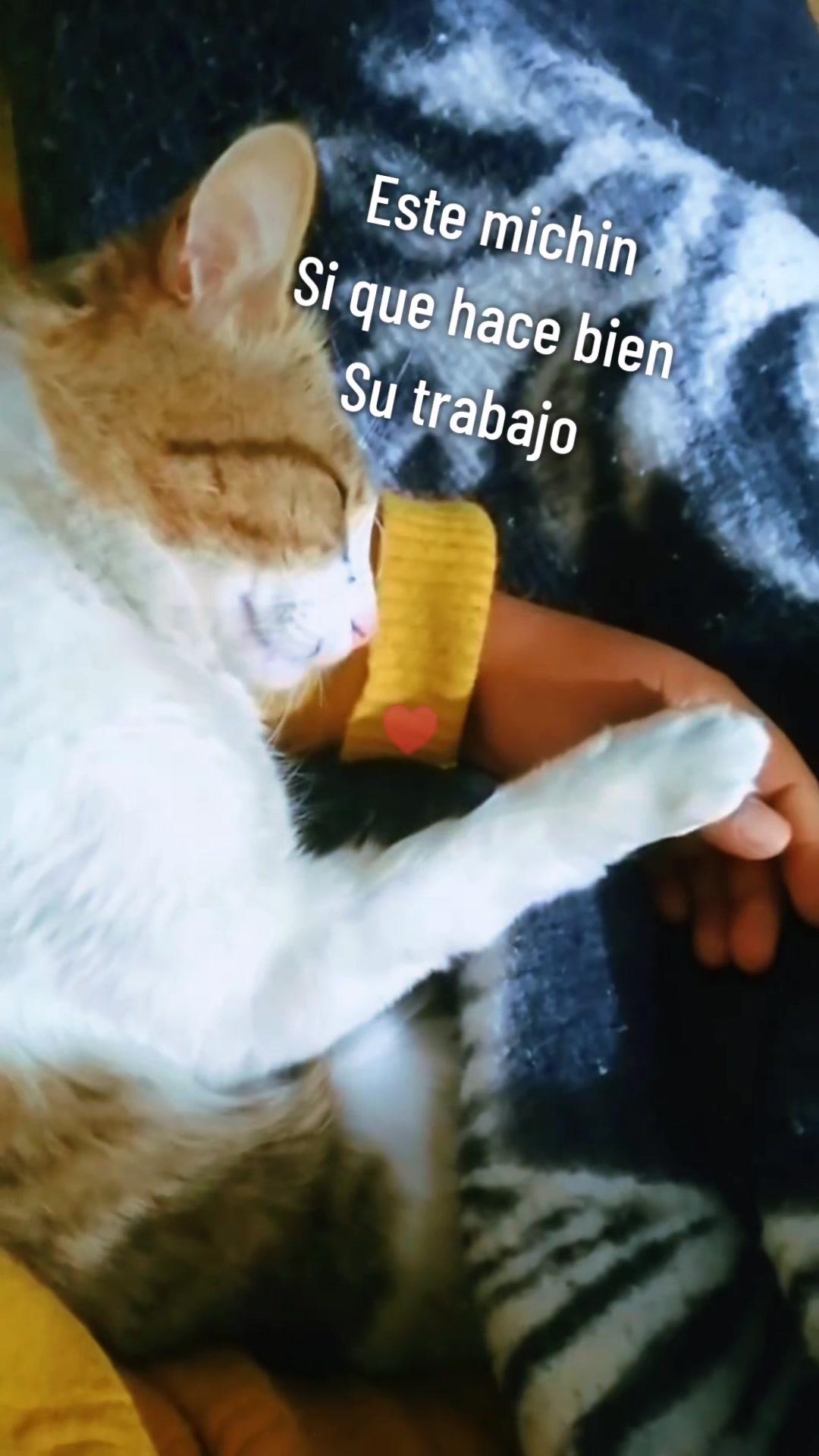 @ErIK@ 💜