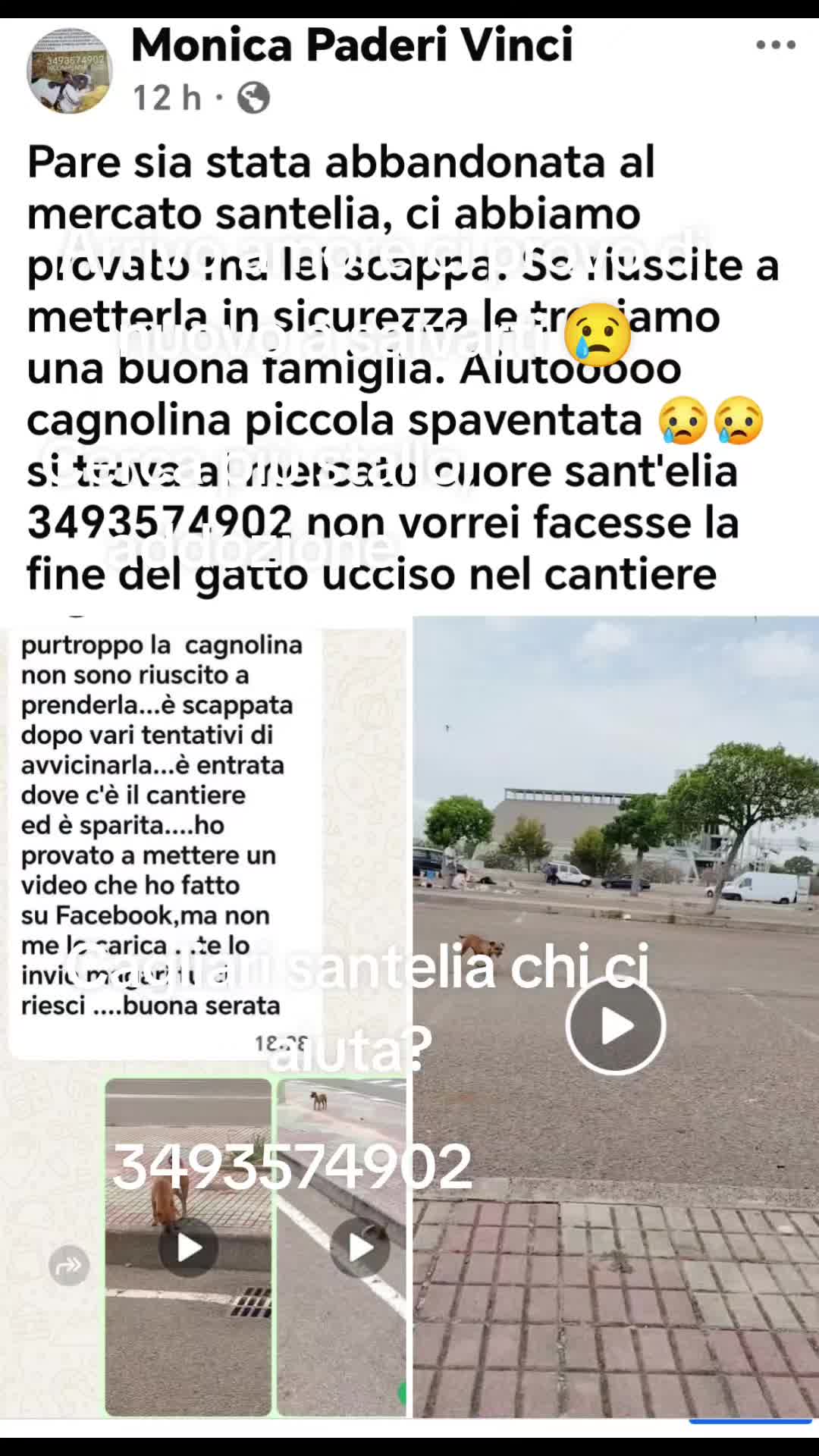 @GLI Sgomberi DI Monica paderi